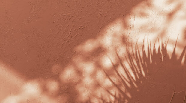 Retour sur le Workshop Facture électronique et connecteurs ERP