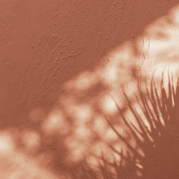 Retour sur le Workshop Facture électronique et connecteurs ERP